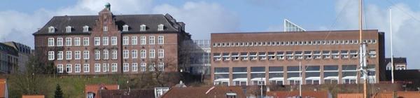 duborg skolen 3