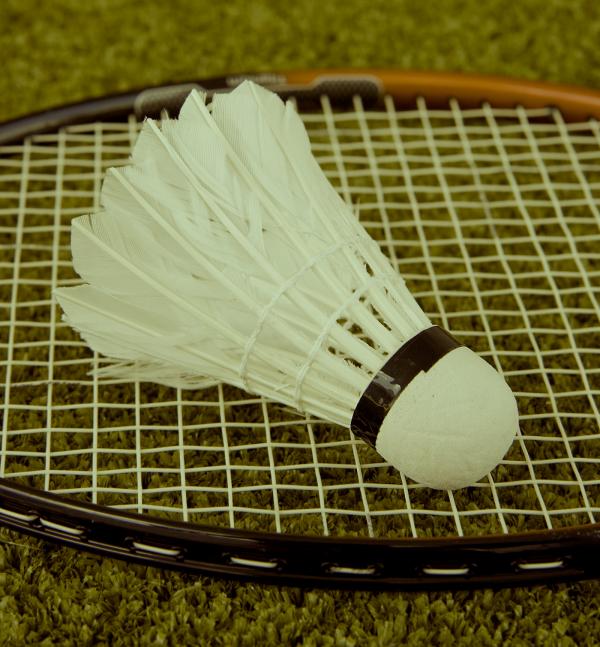 stockvault badminton racket and shuttlecock232072